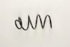 BILSTEIN 37-161293 Coil Spring